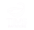 TIMSTECH
